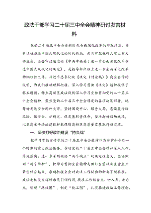 政法干部学习二十届三中全会精神研讨发言材料.docx