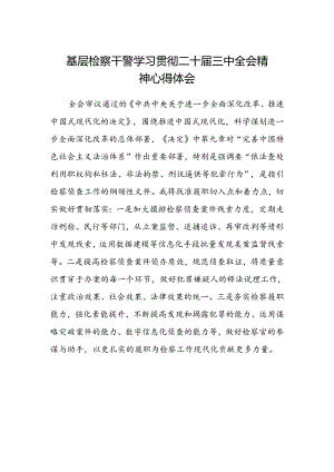 基层检察干警学习贯彻二十届三中全会精神心得体会范文.docx