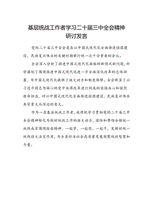 基层统战工作者学习二十届三中全会精神研讨发言.docx