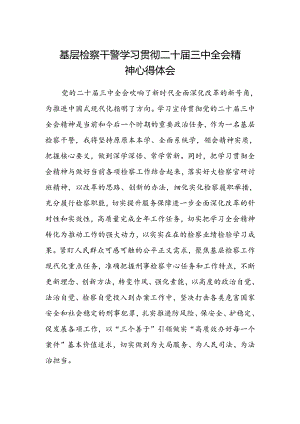 基层检察干警学习贯彻二十届三中全会精神心得体会范文.docx
