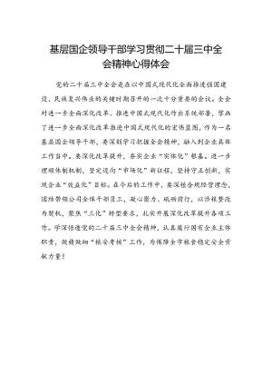 基层国企领导干部学习贯彻二十届三中全会精神心得体会.docx