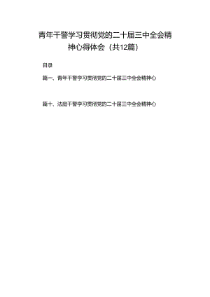 青年干警学习贯彻党的二十届三中全会精神心得体会12篇（详细版）.docx