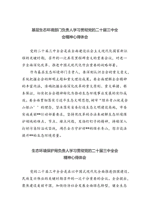 基层生态环境部门负责人学习贯彻党的二十届三中全会精神心得体会8篇（详细版）.docx