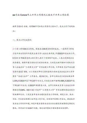 XX司法局2024年上半年工作情况汇报及下半年工作打算.docx