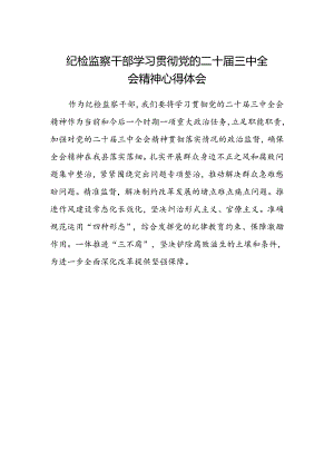纪检监察干部学习贯彻党的二十届三中全会精神心得体会范文.docx