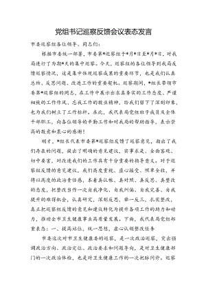 党组书记巡察反馈会议表态发言.docx