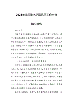 2024年城区排水防涝汛前工作自查情况报告.docx