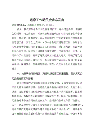 公司党委书记在巡察工作动员会上的表态发言.docx