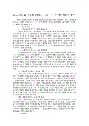深入学习宣传贯彻党的二十届三中全会精神情况报告.docx