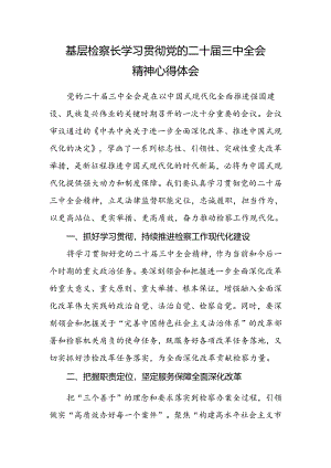 基层检察长学习贯彻党的二十届三中全会精神心得体会.docx