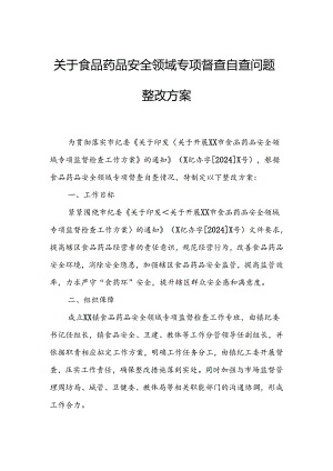 关于食品药品安全领域专项督查自查问题整改方案.docx