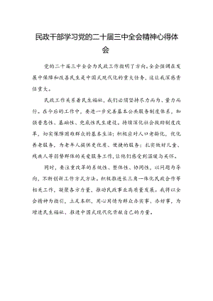 民政干部学习党的二十届三中全会精神心得体会.docx