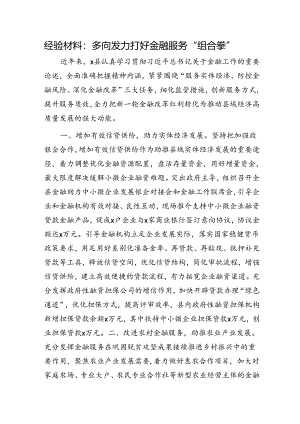 经验总结：多向发力打好金融服务“组合拳”.docx