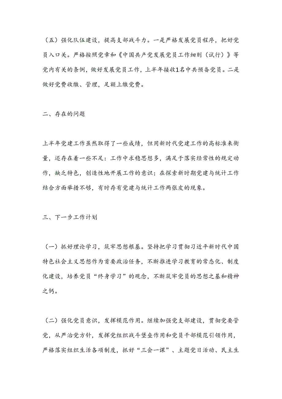 X区统计局党支部2024年上半年党建工作总结及下半年党建工作计划.docx_第3页