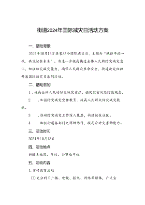 街道2024年国际减灾日活动方案参考范文.docx
