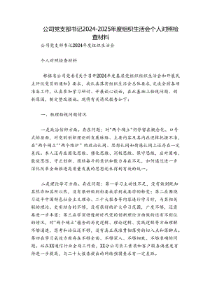 公司党支部书记2024-2025年度组织生活会个人对照检查材料.docx