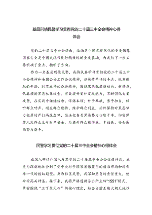 （9篇）基层刑侦民警学习贯彻党的二十届三中全会精神心得体会（详细版）.docx