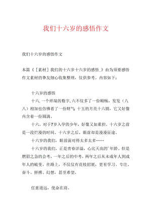 我们十六岁的感悟作文.docx