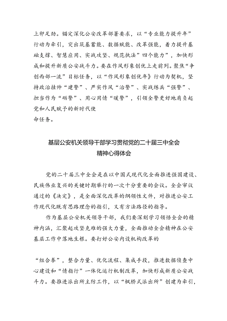 经侦大队负责人学习贯彻党的二十届三中全会精神心得体会（共五篇）.docx_第3页