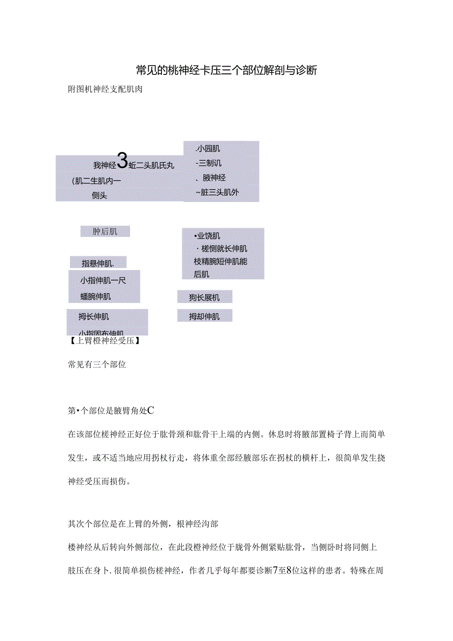 常见的桡神经卡压三个部位解剖及诊断.docx_第1页