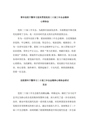 （12篇）青年法院干警学习宣传贯彻党的二十届三中全会精神心得体会（精选）.docx