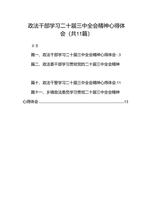 （11篇）政法干部学习二十届三中全会精神心得体会专题资料.docx