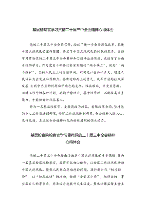 （9篇）基层检察官学习贯彻二十届三中全会精神心得体会专题资料.docx