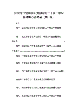 （11篇）法院司法警察学习贯彻党的二十届三中全会精神心得体会（最新版）.docx