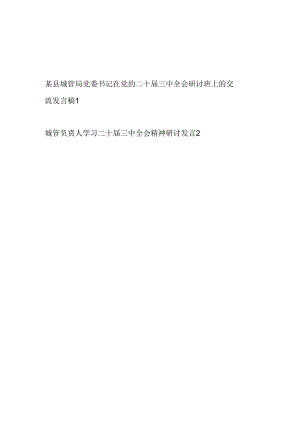 城管局党委书记局长负责人在学习党的二十届三中全会精神研讨班上的交流研讨发言稿2篇.docx