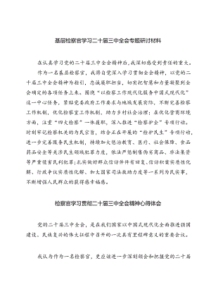 (六篇)基层检察官学习二十届三中全会专题研讨材料（精选）.docx