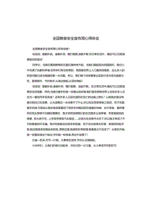 全国粮食安全宣传周心得体会.docx