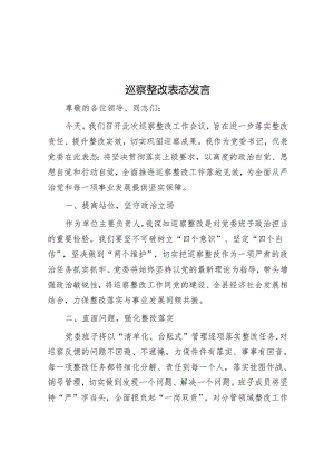 巡察整改表态发言.docx