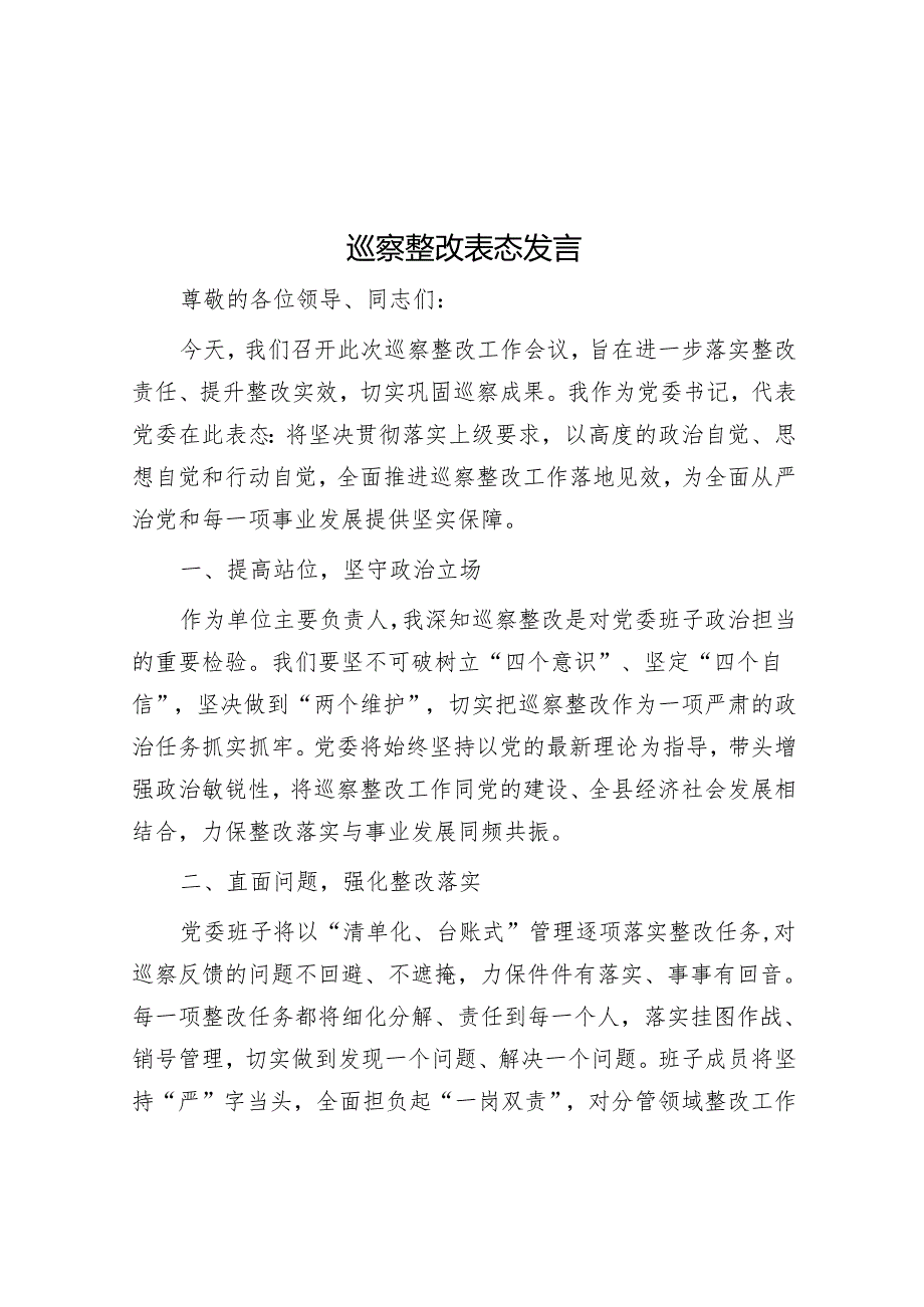 巡察整改表态发言.docx_第1页
