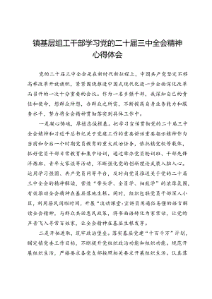 镇基层组工干部学习党的二十届三中全会精神心得体会.docx