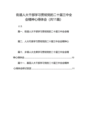 （11篇）街道人大干部学习贯彻党的二十届三中全会精神心得体会范文.docx