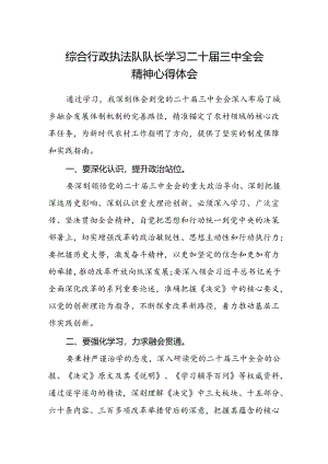 综合行政执法队队长学习二十届三中全会精神心得体会.docx