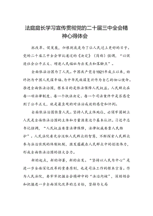 法庭庭长学习宣传贯彻党的二十届三中全会精神心得体会范文.docx