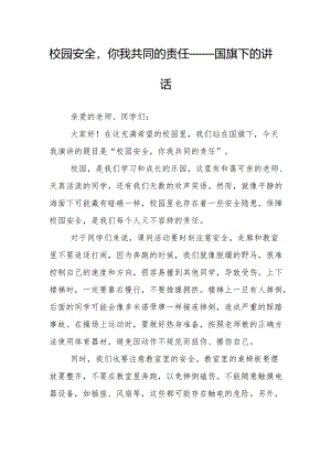 校园安全你我共同的责任——国旗下的讲话.docx