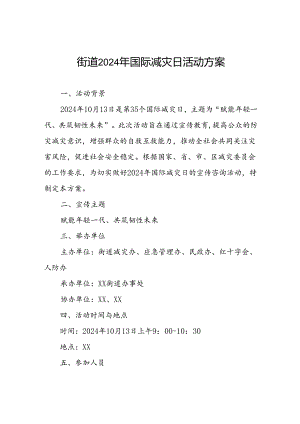 街道开展2024年国际减灾日的活动方案.docx