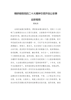 精研细悟党的二十大精神+引领开创公安事业新格局.docx