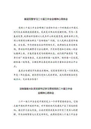 （9篇）基层民警学习二十届三中全会精神心得体会合辑.docx