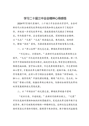 学习二十届三中全会精神心得感悟.docx