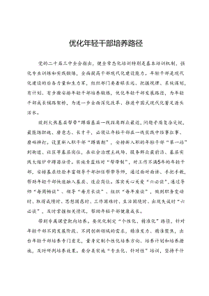 区委常委、组织部部长研讨发言：优化年轻干部培养路径.docx
