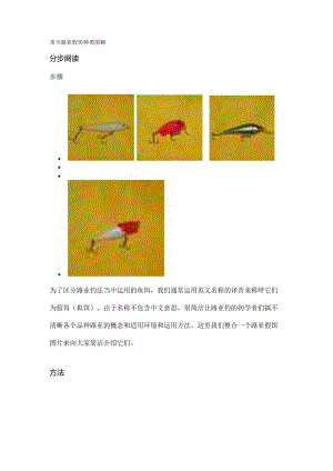 常用路亚假饵种类图解.docx