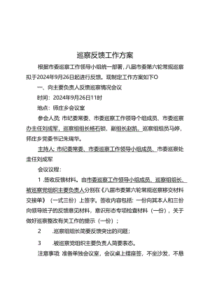 1.八届市委第六轮常规巡察反馈工作方案（师庄乡）.docx