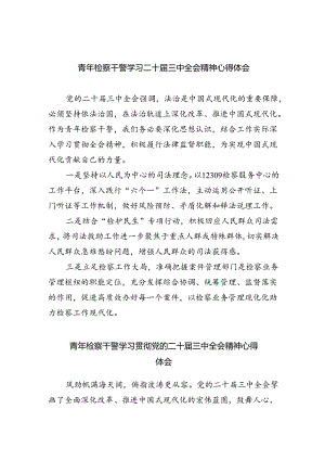 青年检察干警学习二十届三中全会精神心得体会（共五篇）.docx