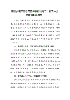 基层乡镇干部学习宣传贯彻党的二十届三中全会精神心得体会.docx
