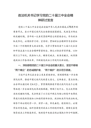政法机关书记学习党的二十届三中全会精神研讨发言.docx
