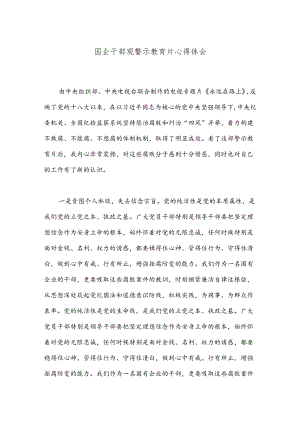 国企干部观警示教育片心得体会.docx
