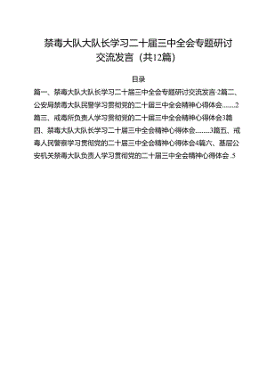 禁毒大队大队长学习二十届三中全会专题研讨交流发言12篇（详细版）.docx
